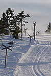 Fina tursp&aring;r finns n&auml;ra stuga  i Fager&aring;sen, Trysil.